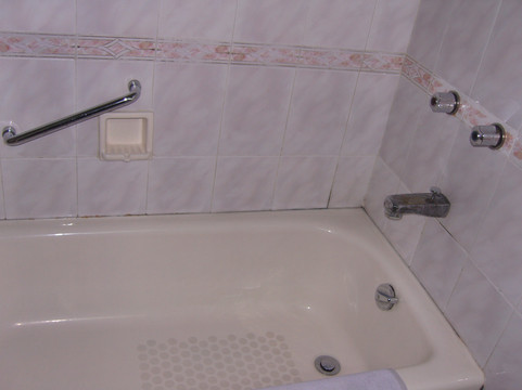 丹顶鹤大酒店主图