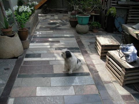 东南西北客栈主图