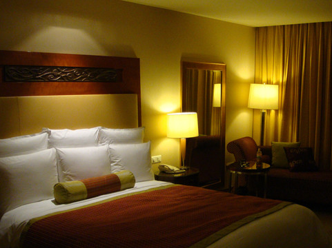 武汉光明万丽酒店主图