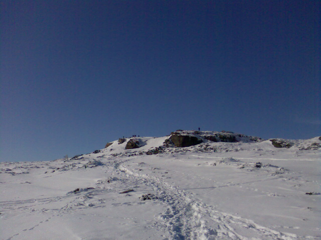 Bennachie Hill Walks-阿伯丁必去景点