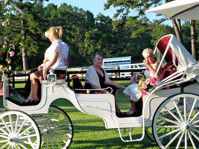 The Venue at Centaur Farms-客卧