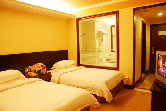 维也纳酒店(深圳蛇口海湾店)主图