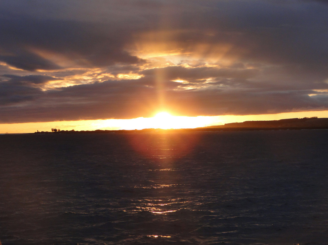 Kauai Sea Tours-埃里埃利必去景点