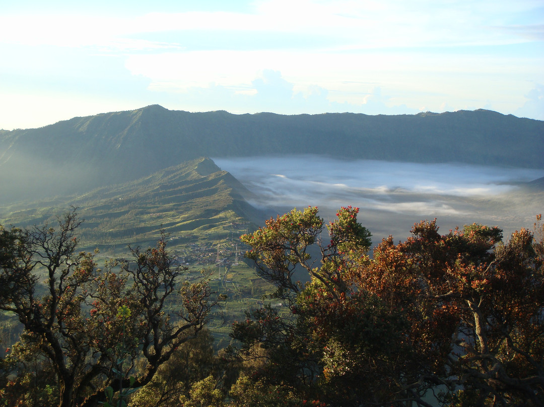 布罗莫火山-婆罗摩腾格里国家公园必去景点