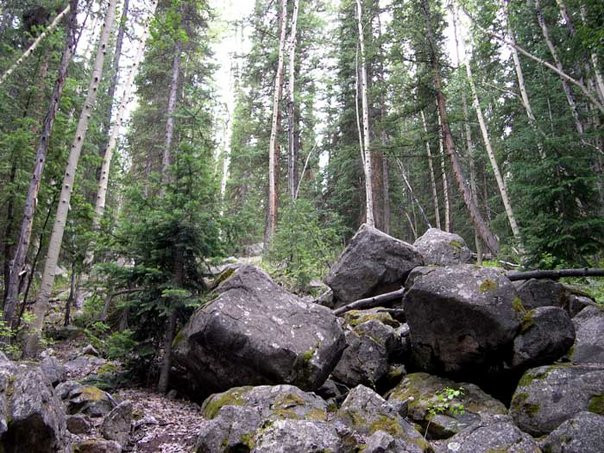 Lost Man Trail-阿斯蓬必去景点