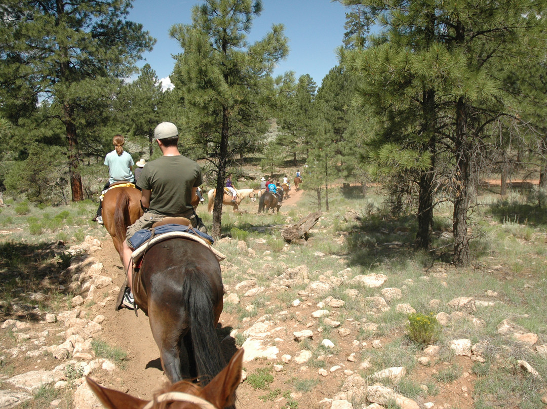 Grand Canyon Trail Rides-图萨扬必去景点