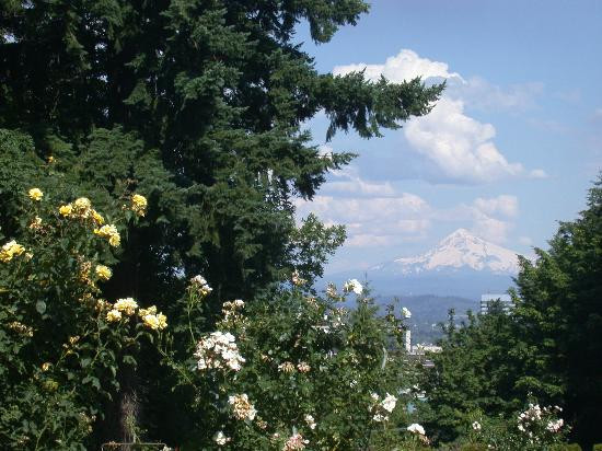 Peninsula Park and Rose Gardens-波特兰必去景点
