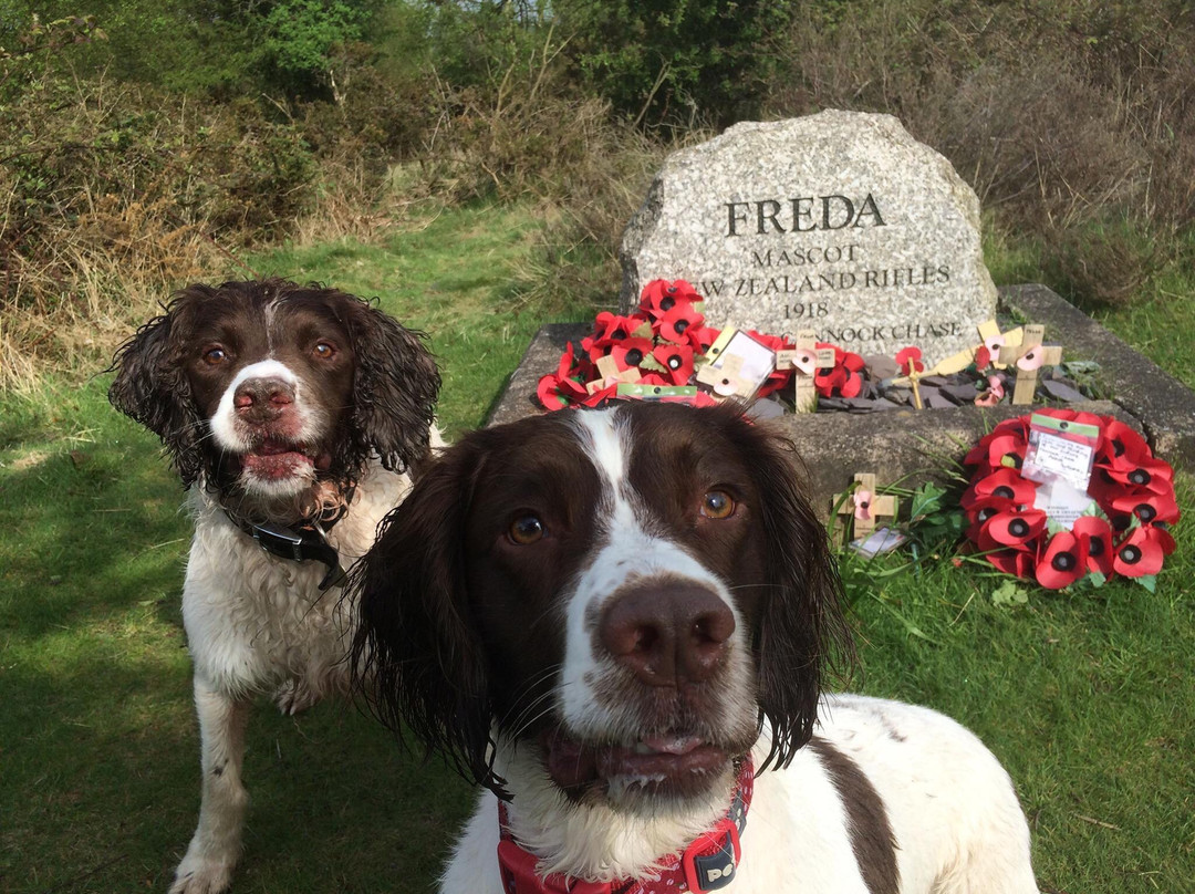 Freda's Grave景点图片