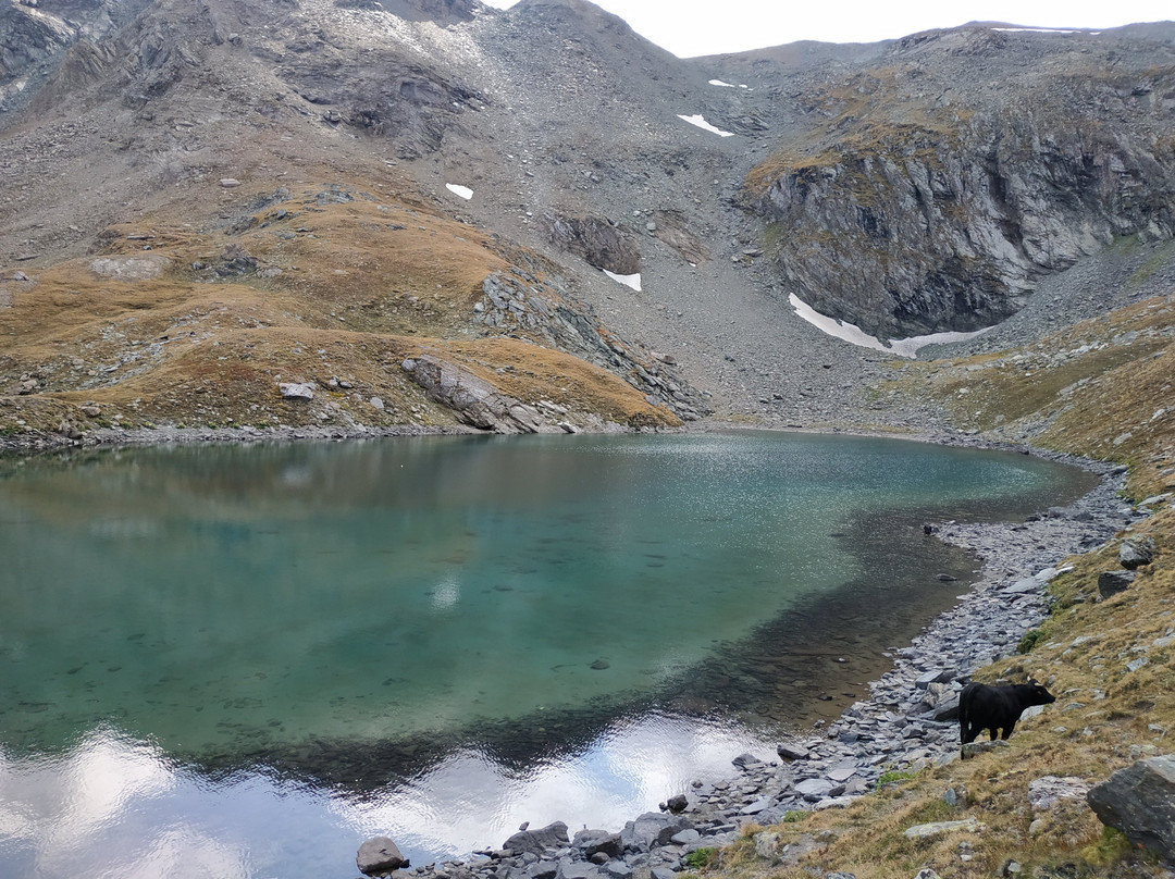 Djouan lakes (Laghi di Djouan)景点图片