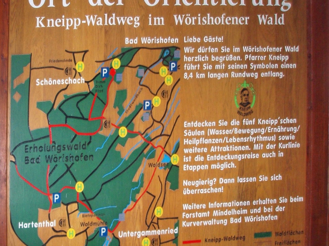 Kneipp Waldweg景点图片