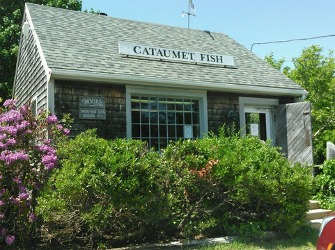 Cataumet Fish