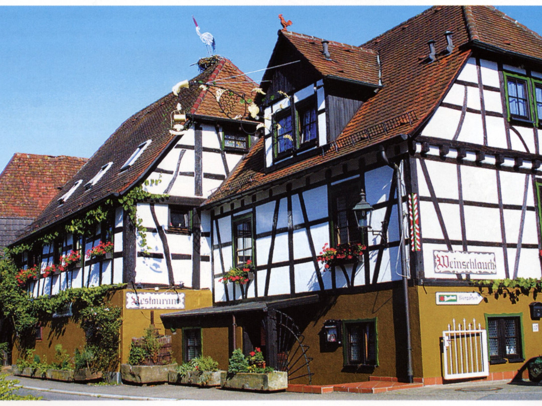 Ubstadt-Weiher餐馆和美食-Restaurant Weinschlauch