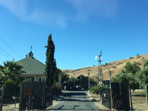 Suncoast Nuthouse Brew