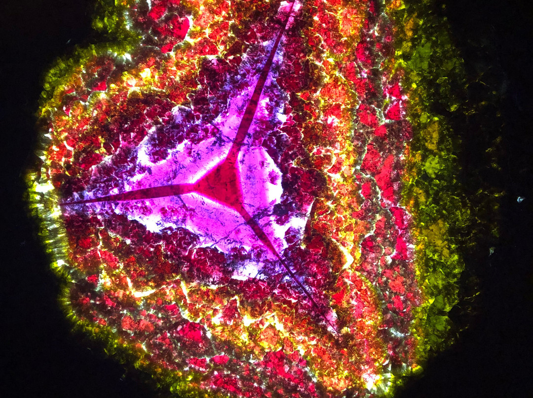 Mim Museum - Mineral Museum-贝鲁特必去景点