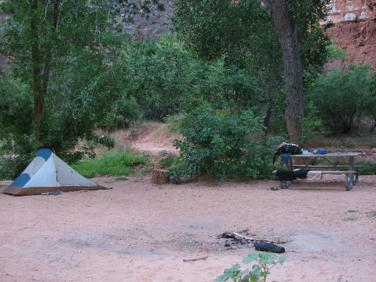 Havasu Falls-苏佩必去景点