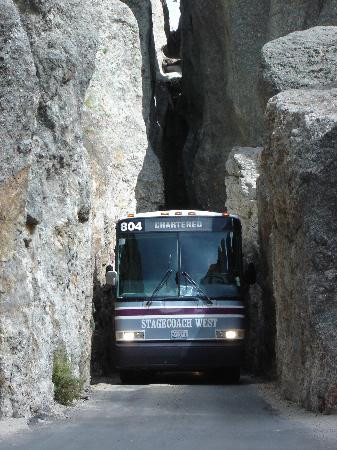 考斯德州立公园-卡斯特必去景点