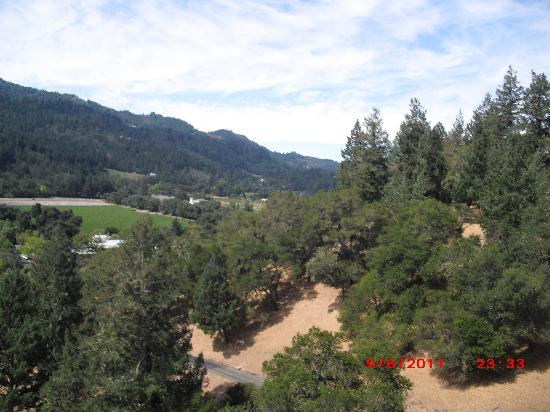 史特林酒庄-卡利斯托加必去景点