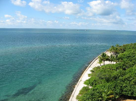 Bill Baggs Cape Florida State Park-比斯坎湾必去景点