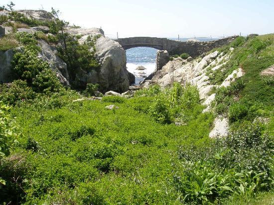 Rough Point Museum-纽波特必去景点