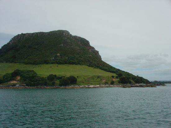 Dolphin Blue Tauranga-陶兰加必去景点