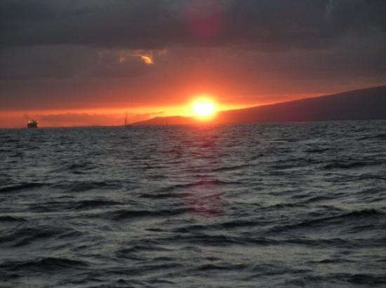 Holokai Catamaran-火奴鲁鲁必去景点