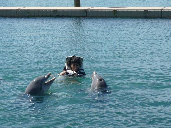 Taino Beach-弗里波特必去景点