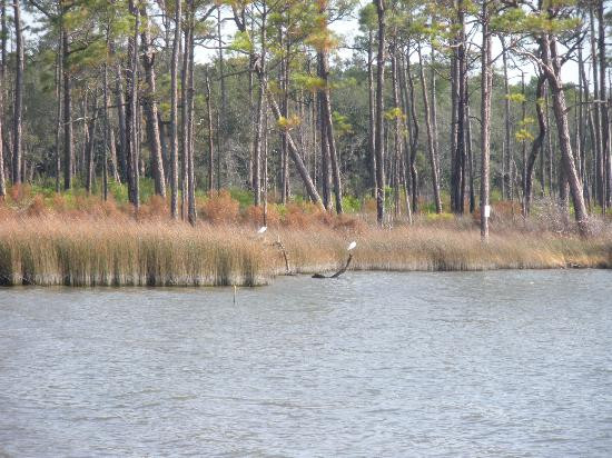 Bon Secour National Wildlife Refuge-格尔夫海岸必去景点