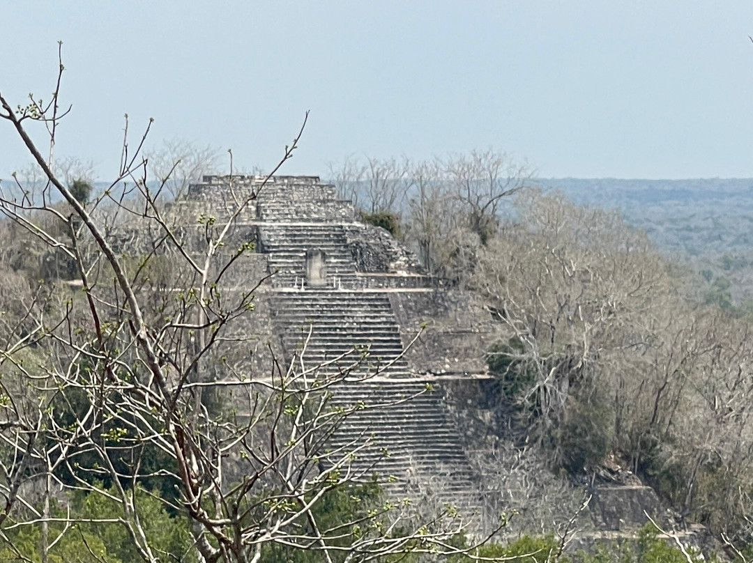 Experiencias Calakmul-卡拉克穆尔必去景点