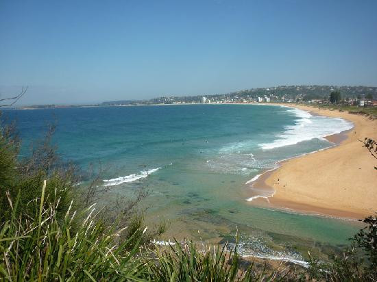 Manly Surf Guide景点图片