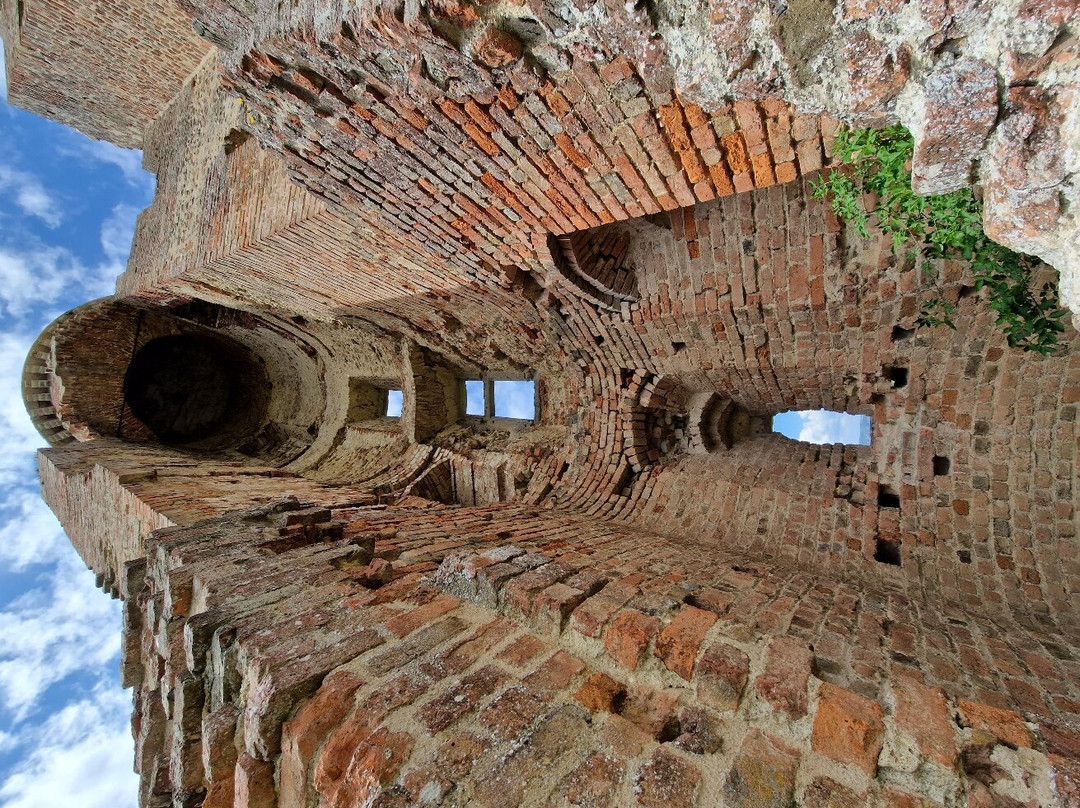 Chateau de Bressieux景点图片