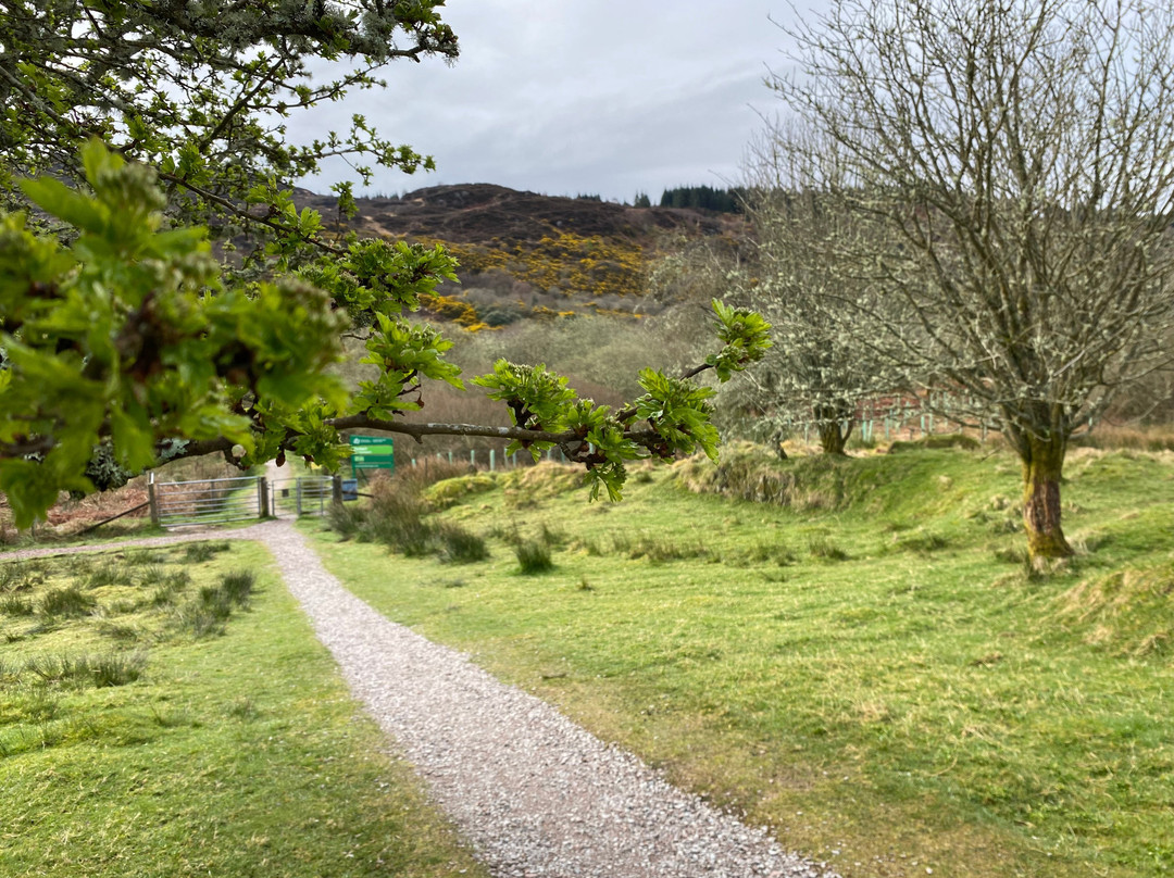 Tarbert Castle Circular Walk景点图片