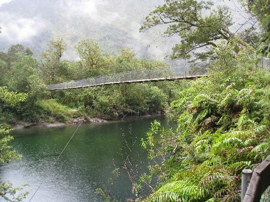 Milford Track景点图片