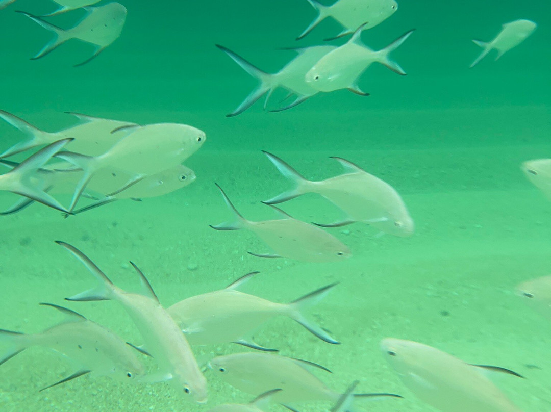 Odomari Beach-Ikei-jima必去景点
