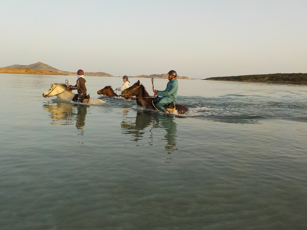 Kokou Horse Riding Center-纳乌萨必去景点