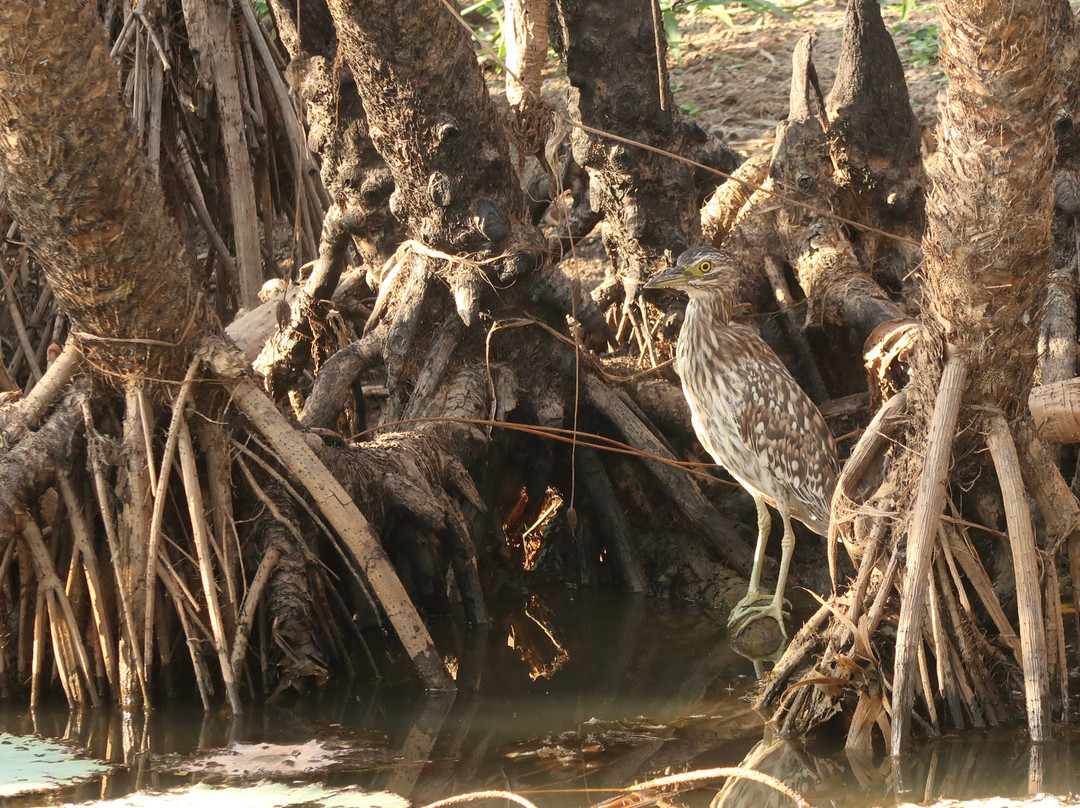 Corroboree Houseboats-Marrakai必去景点