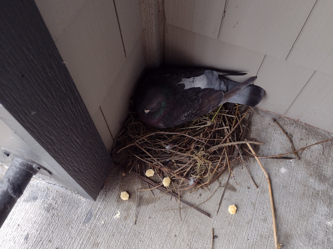 Kathryn Riverfront Inn, Ascend Hotel Collection主图