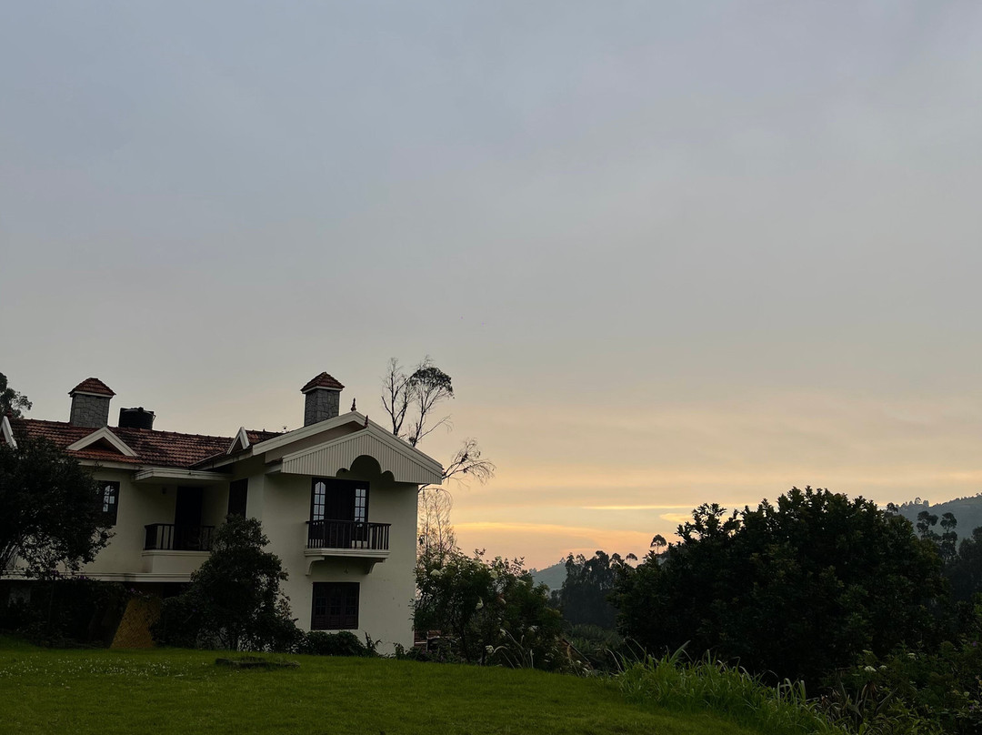 The Tangerine Luxury Villas & Resorts主图