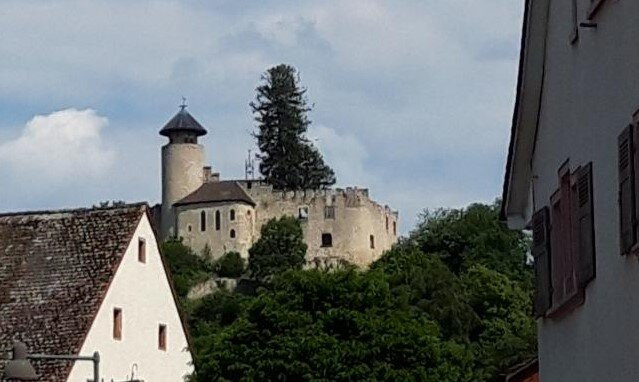 Schloss Birseck景点图片