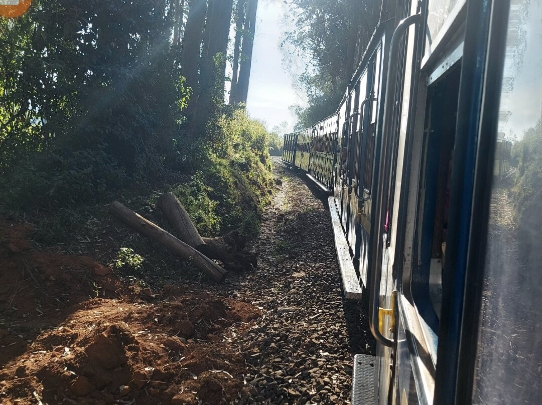 Toy Train景点图片