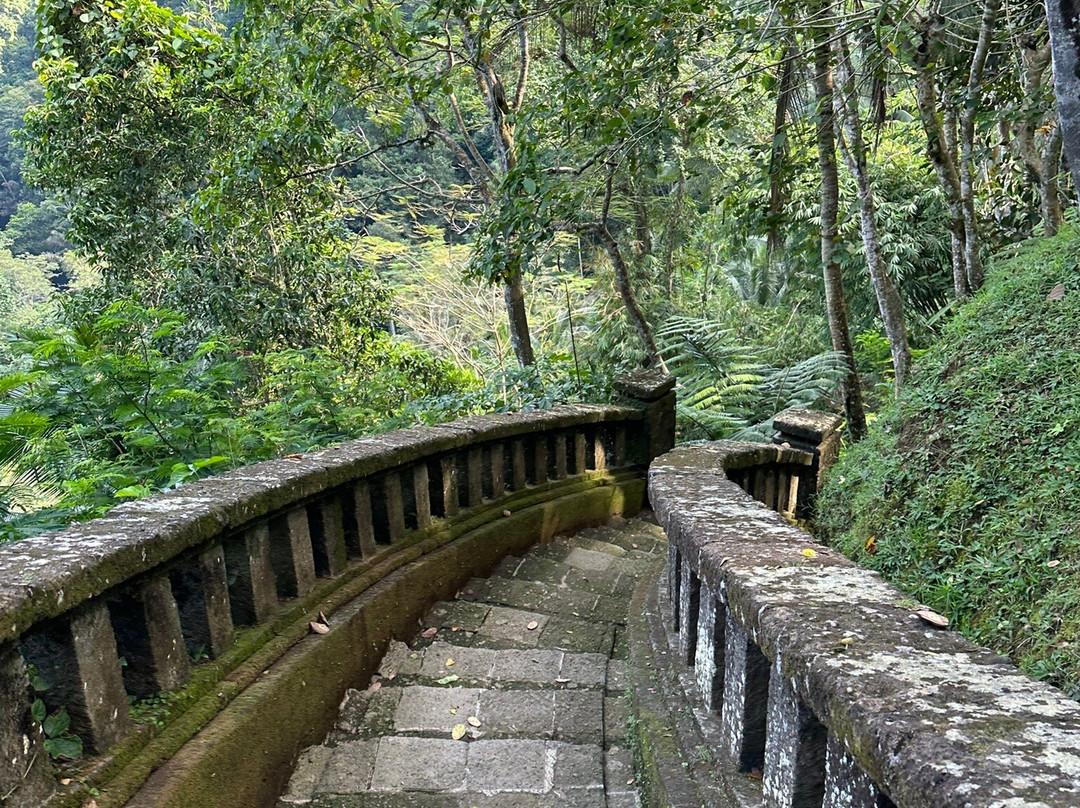COMO Shambhala Retreat at COMO Uma Ubud景点图片