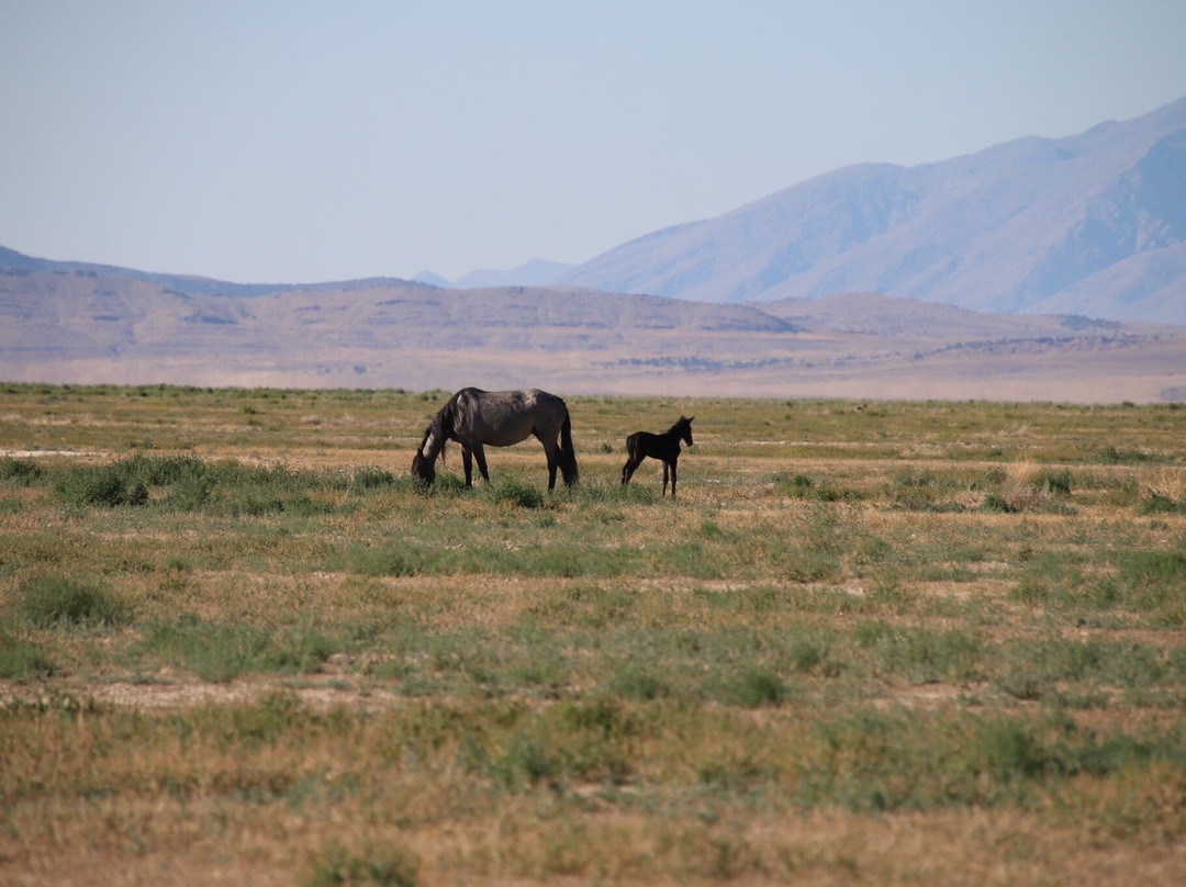 Jennifer Rogers-Tooele必去景点