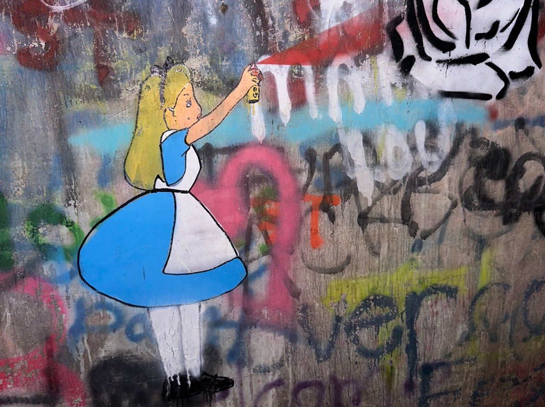 Road to Nowhere-大雾山国家公园必去景点