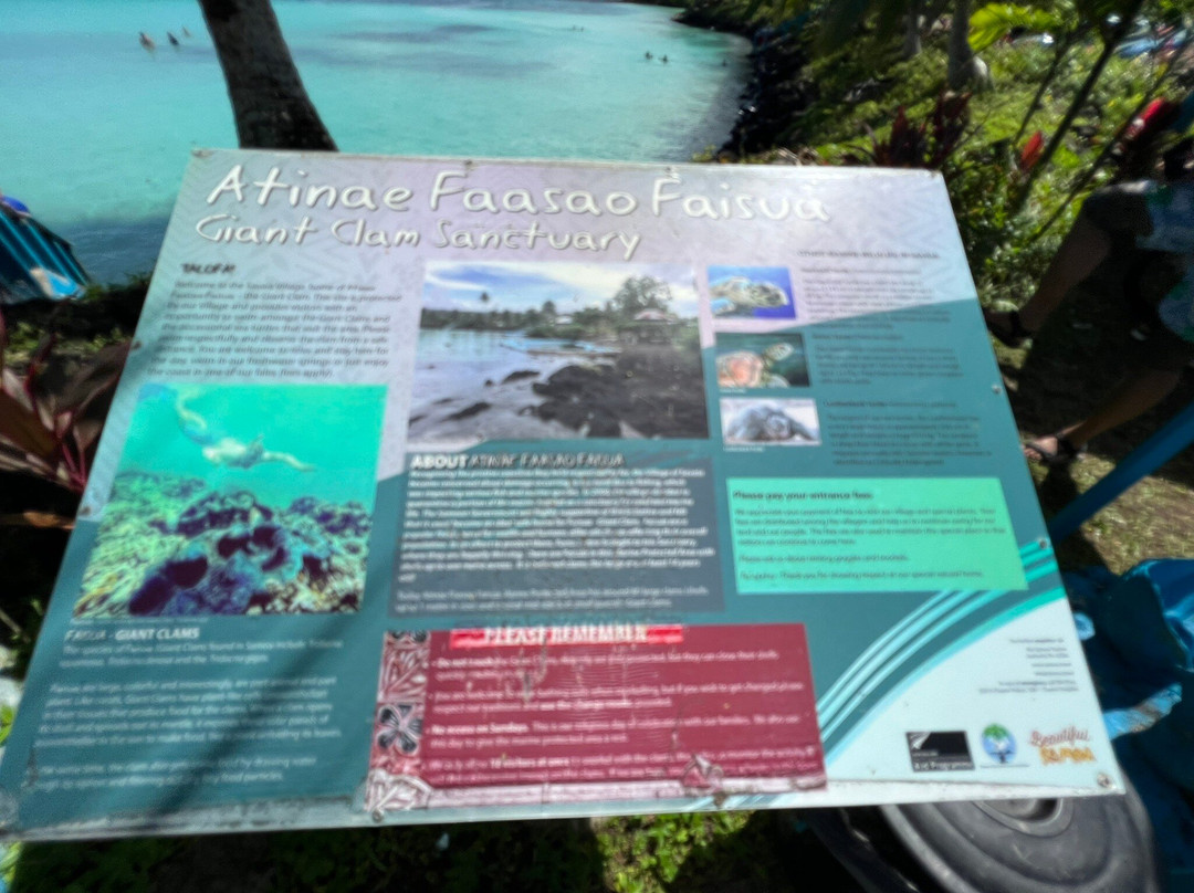 Giant Clam Sanctuary-Savaia必去景点