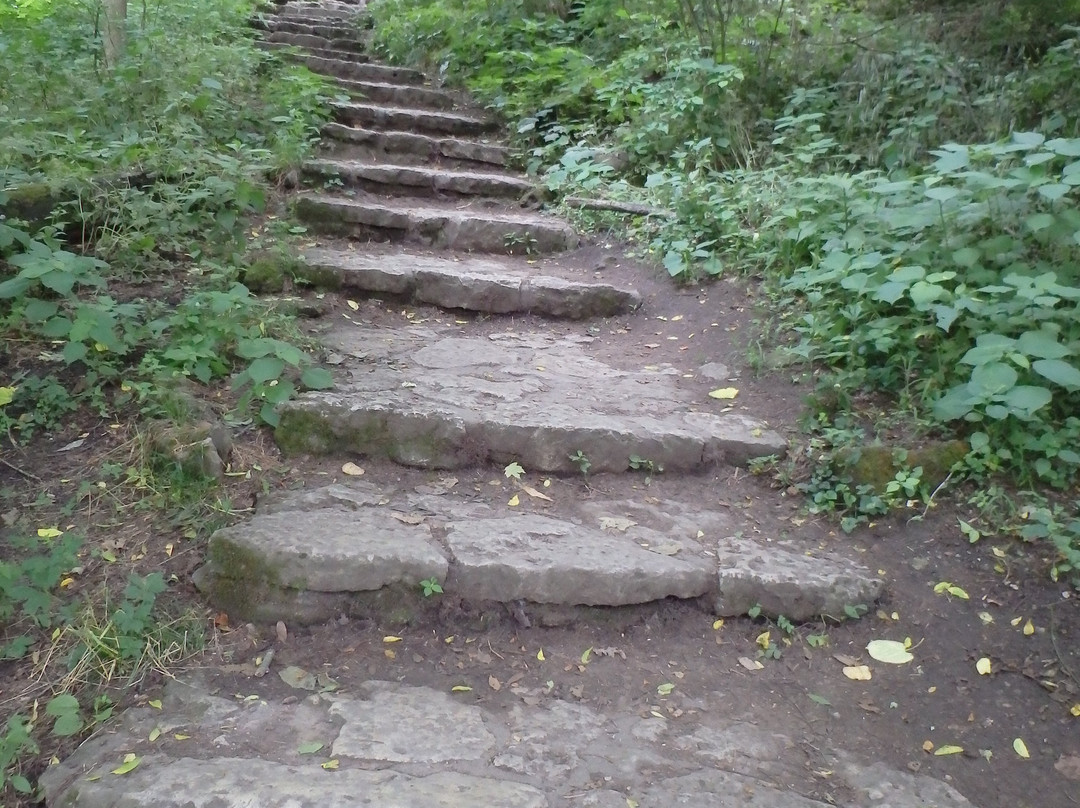 Glen Helen Nature Preserve-Yellow Springs必去景点