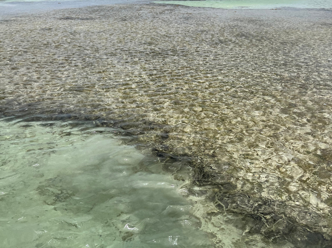 Fleurdo Eco-Excursion-Le Vauclin必去景点