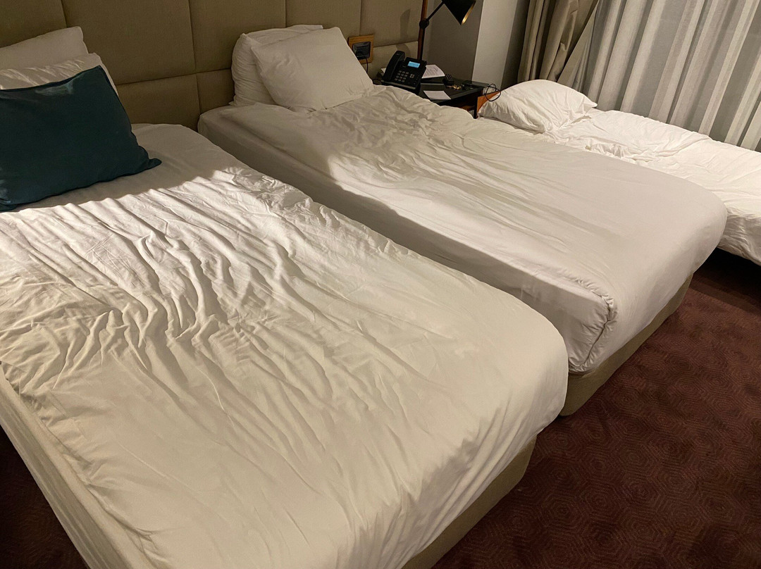 Ramada Plaza Hotel & Spa Trabzon主图