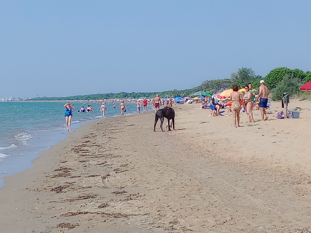 Spiaggia della Brussa-卡奥莱必去景点