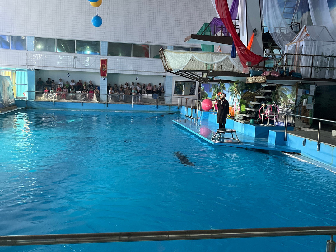 Dolphinarium Naberezhnye Chelny-Naberezhnye Chelny必去景点