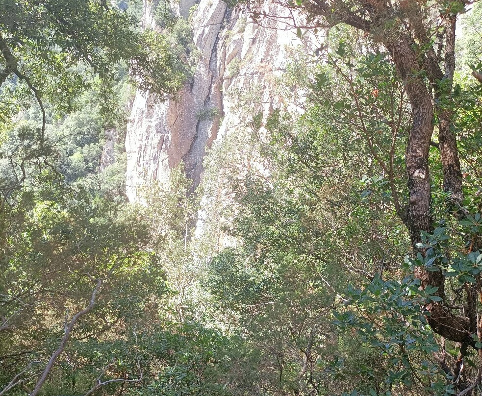 Cascade de Piscia-维琪奥港必去景点