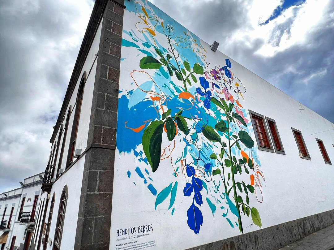 Canarian Transfer-英国人海滩必去景点